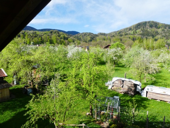 Bergblick vom Balkon aus