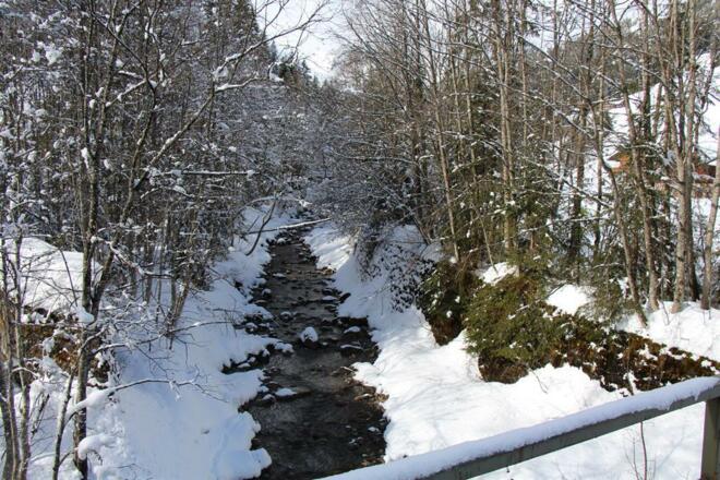 Winter