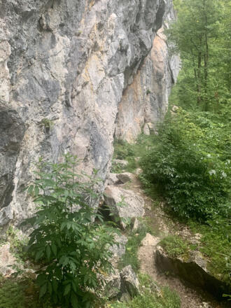 Echernwand beim Eulenloch im Echerntal