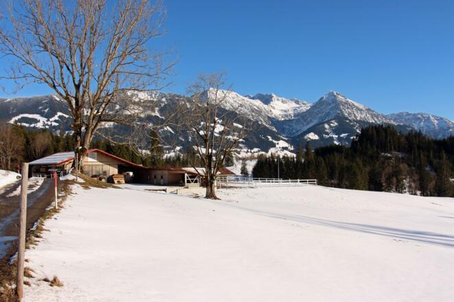 Winteridylle an unserem Stall