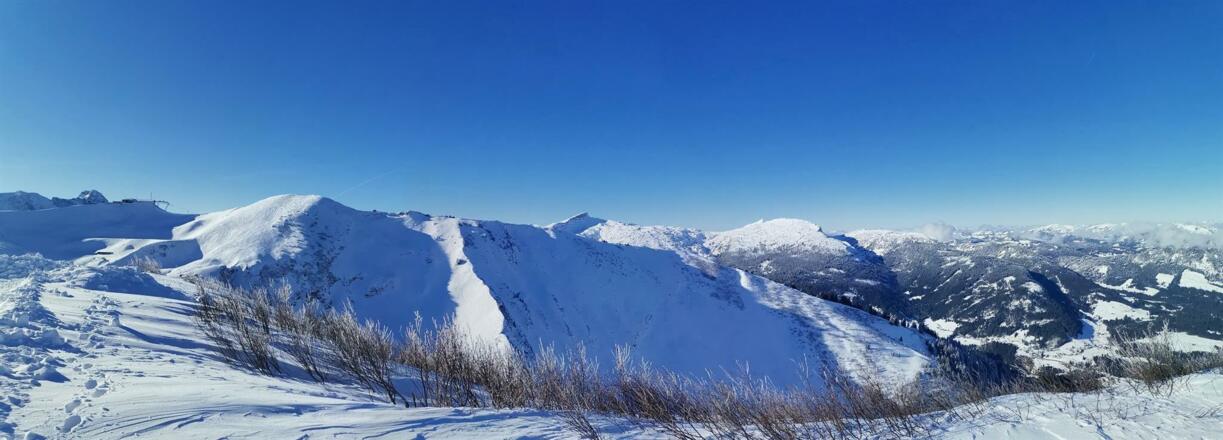 Ferienwohnung Edelweiss, Heidi (3)