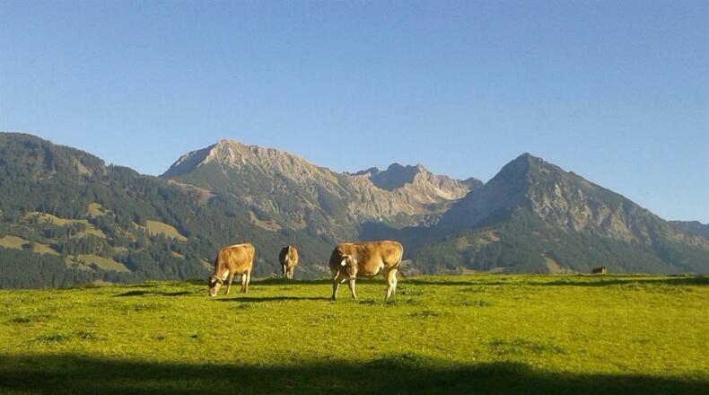 Blick auf Nebelhorn 20161016_154814-1-1