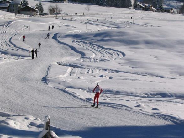 Loipe direkt am Haus