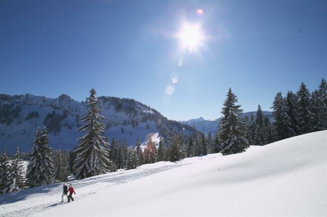 Winterwandern