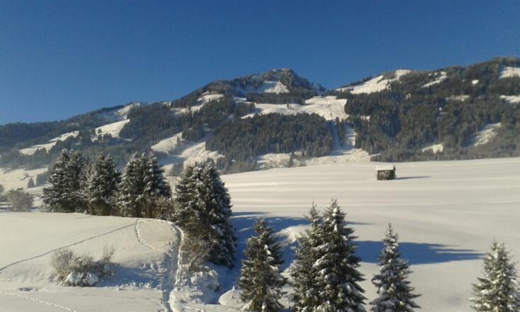 Winterausblick