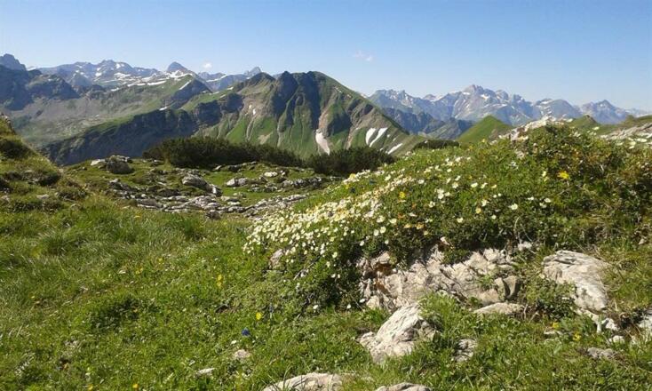 Sommertraum blick vom Nebelhorn