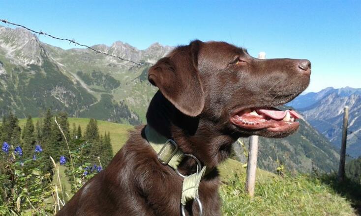 Haus Wiesenhof - Unsere Clara