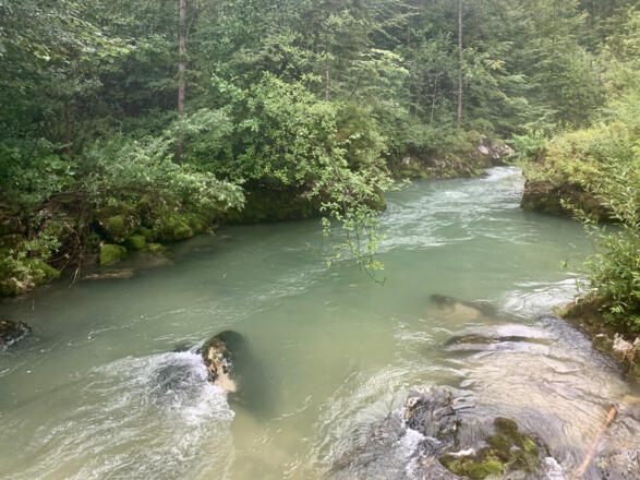 Waldbach im flachen Teil des Echerntales