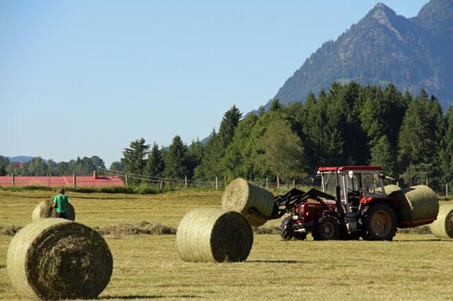 Im Sommer wird Heu gemacht