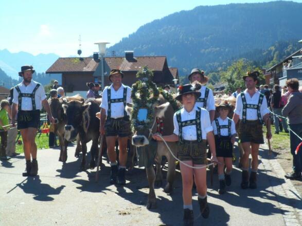 Viehscheid Bolsterlang