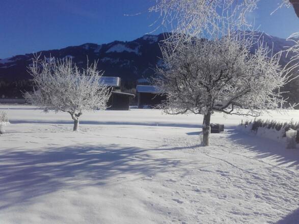 Verschneiter Garten im Winter