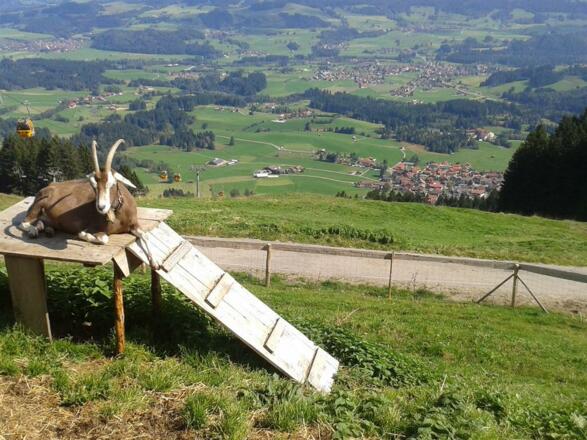 Blick auf Bolsterlang im Allgäu