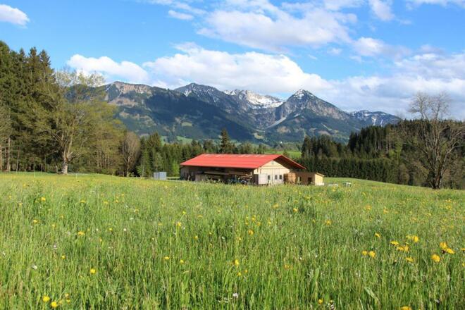 Unser Stall liegt in herrlicher Lage