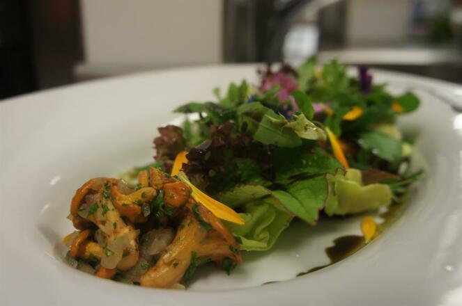 Kräutermenü Vorspeise