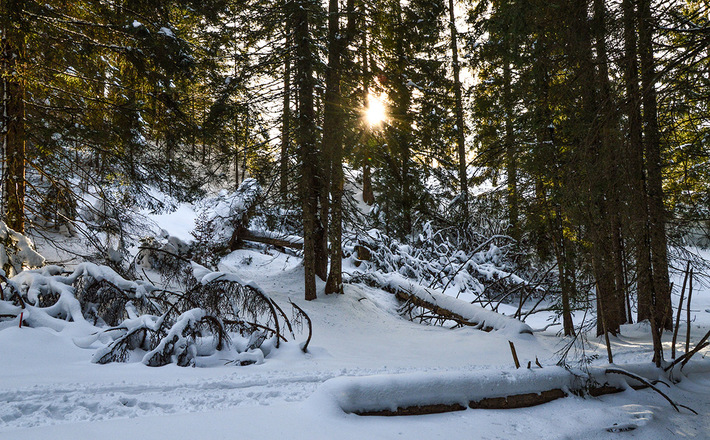 Duch verschneiten Wald hinauf zum Hirschkaser