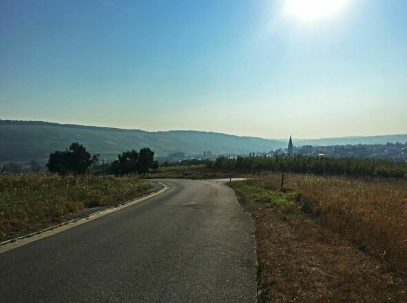 Morgensonne bei Bad Mergentheim
