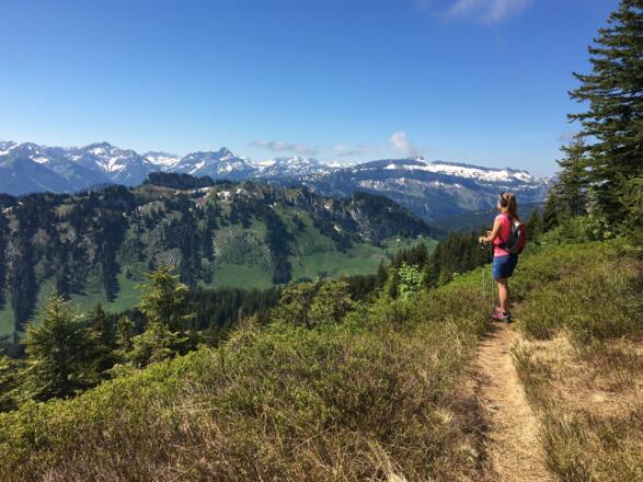 Traumhafter Blick in die Allgäuer Alpen
