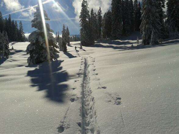 Winterlandschaft im Allgäu