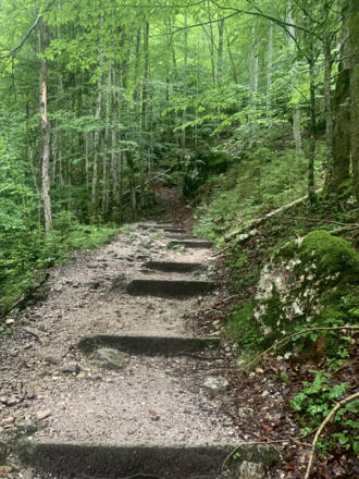 Aufgang zum Waldbachstrub