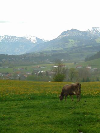 Ausblick vom Garten