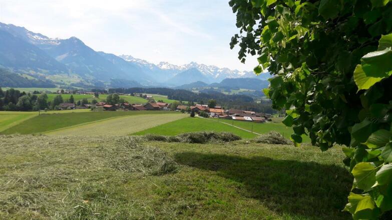 Schweineberg