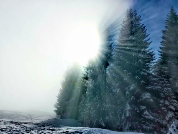 Ferienwohnung Edelweiss, Heidi 16