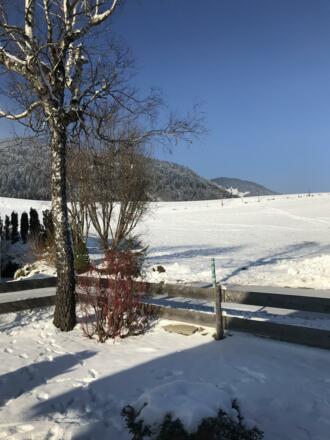 Blick aus dem Wohnzimmer