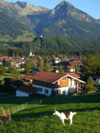 Aussicht über Fischen