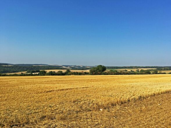 Straße mit Ausblick über das Land