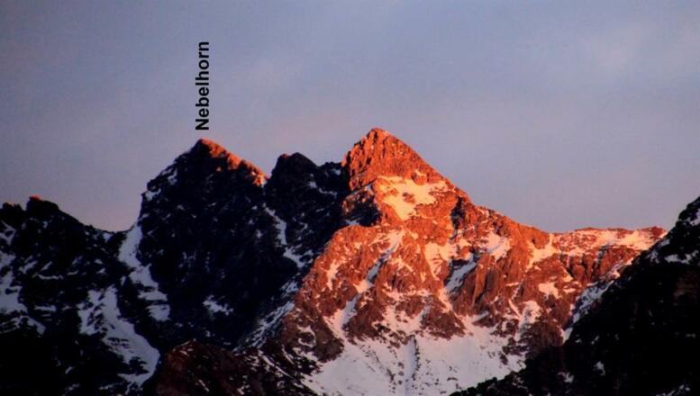 Blick zum Nebelhorn