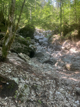 Brandbach im Echerntal in Hallstatt