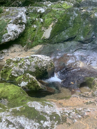 Topf im Gletschergarten im Echerntal in Hallstatt