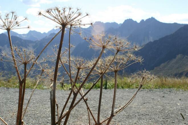 Herrliche Touren auch für Anfänger am Fellhorn