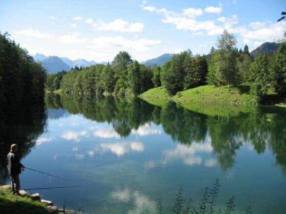 Auwaldsee_02