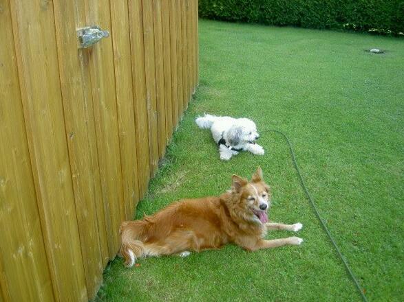 Auch Pause muß sein