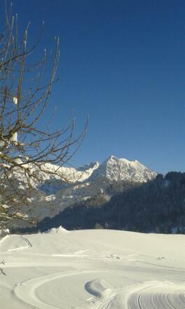 Winterausblick vom Hausskilift
