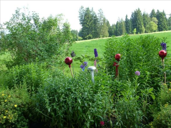 Garten im Sommer