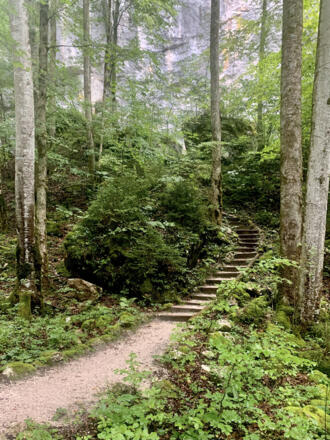 Weg zum Waldbachstrub