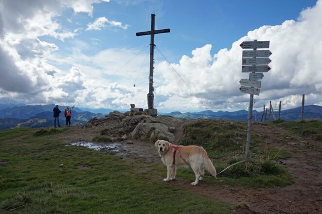 Viele Wanderungen sind für Kinder geeignet