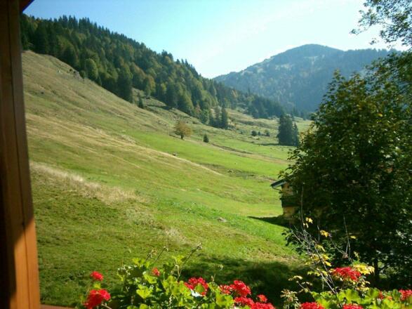 Ausblick FW Riedbergerhorn