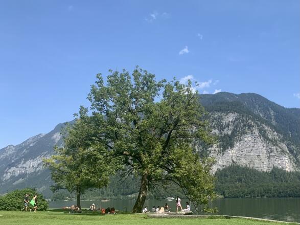 Badeinsel Hallstätter See Hallstatt