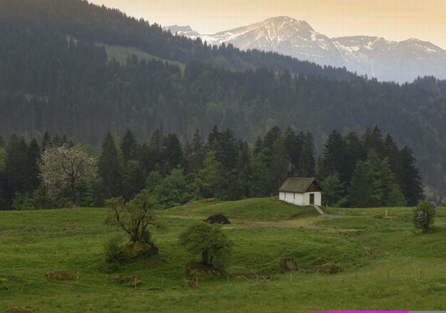 HUBERTUS Balderschwang Natur 3