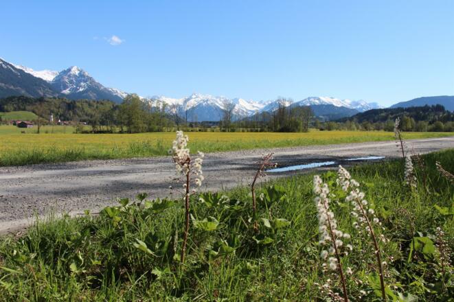 Wander- und Radweg an der Iller
