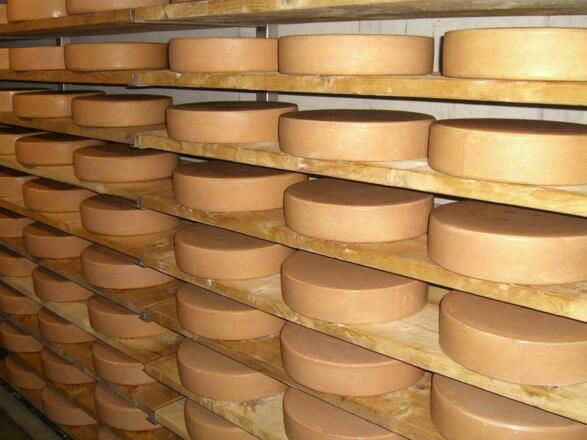 Käseherstellung während der ALPZEIT