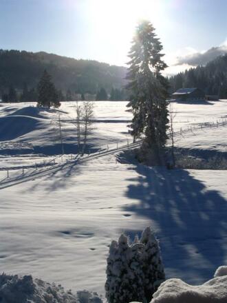 Aussicht von Ferienwohnung