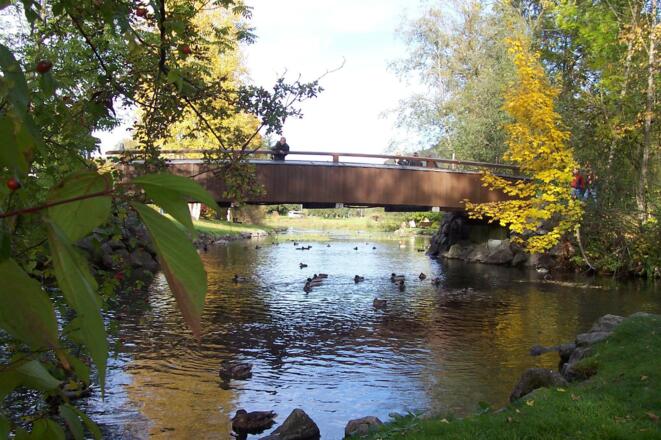 Brücke im Herbst