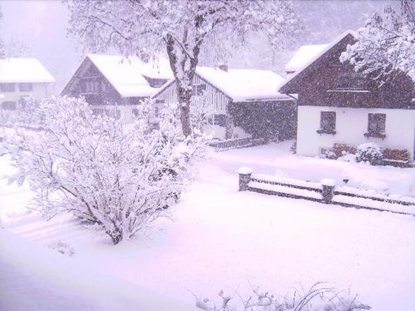 Tief verschneites Fischen