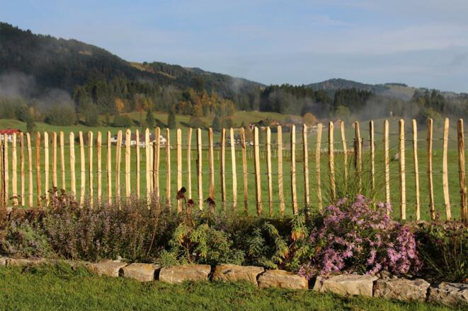 Gartenanlage hinter dem Haus