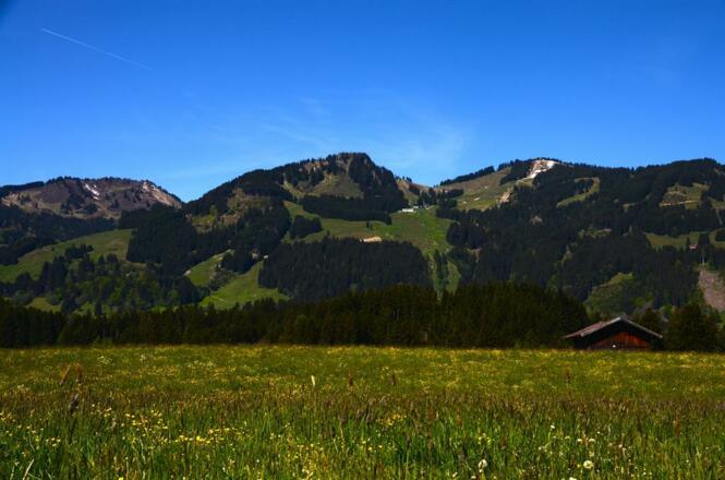 Umgebung