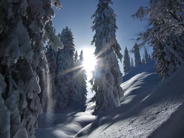 Winterzauber